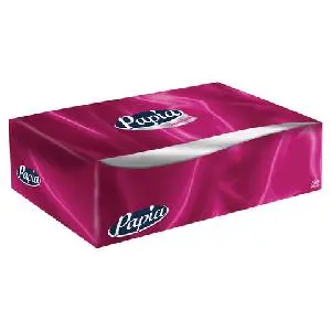 Хаят: Салфетки косметические 2сл 100л 20х20см белые PAPIA в картон.боксе