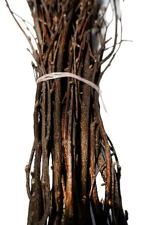 Фото №4 - Хозяйственный инвентарь: Метла березовая