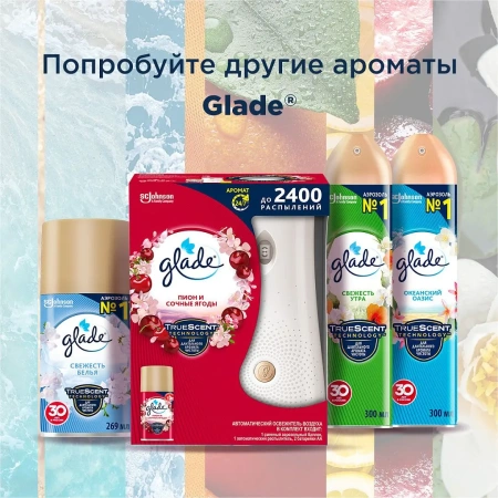 Освежители воздуха: ГЛЕЙД 300мл ПОСЛЕ ДОЖДЯ