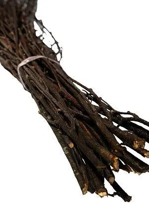 Фото №3 - Хозяйственный инвентарь: Метла березовая