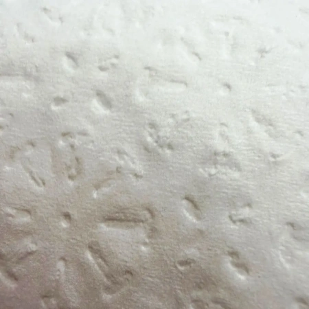 Бумага туалетная: 2сл 22м целлюлоза цвет белый Виклин /пач.=4 шт.