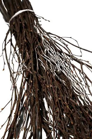 Фото №2 - Хозяйственный инвентарь: Метла березовая