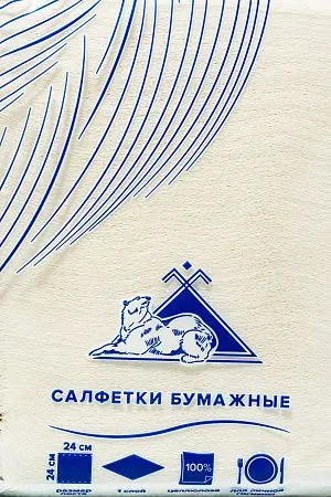 Фото №2 - Бумажные салфетки: столовые 1сл 400листов 24х24 Big Pack ROSHY белые